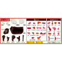 MegaHouse -  Special Selection Yakiniku Puzzle "Beef"