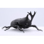 FUJIMI - Kabutomushi Beetle (Insect Series)