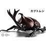 FUJIMI - Kabutomushi Beetle (Insect Series)