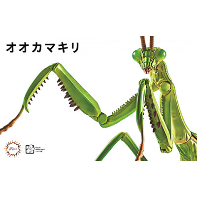 FUJIMI - Chinese Mantis (Insect Series)