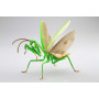 FUJIMI - Chinese Mantis (Insect Series)